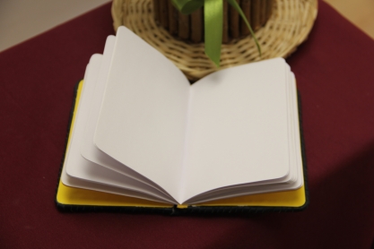 Cover image of Užrašų knygutė